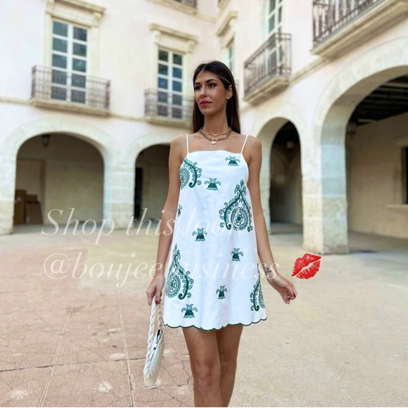 Zara Dresses & Skirts - ZARA BNWT Embroidered Mini Dress